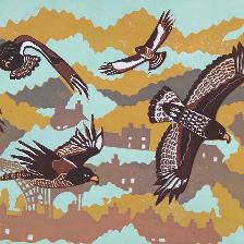 Wildlife prints